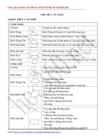 Chuyên đề 1: Tứ giác - Chuyên đề Toán lớp 8 - Hoc360.net