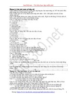 Các dạng bài và đề học sinh giỏi Toán 5 - Bồi dưỡng HSG lớp 5