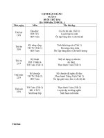 Hướng dẫn Soạn giáo án buổi chiều lớp 5 - Tuần 5