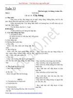 Hướng dẫn soạn Giáo án Buổi sáng lớp 1 - Tuần 33-34-35