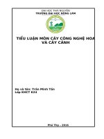 Phân tích những thuận lợi, khó khăn và đề xuất giải pháp để phát triển sản xuất hoa cây cảnh tại địa phương 