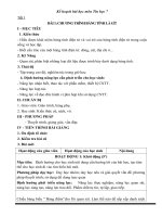 Giáo án (kế hoạch bài học) môn tin học lớp 7 soạn thoe cv 3280 năm 2020 mới nhất