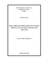 Hoàn thiện hệ thống kiểm soát nội bộ trong các Ngân hàng thương mại Việt Nam