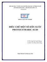 Điều chế một số dẫn xuất protocetraric acid 