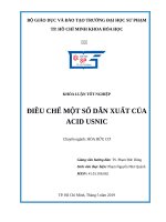 Điều chế một số dẫn xuất của acid usnic 