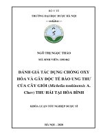 Đánh giá tác dụng chống oxy hóa và gây độc tế bào ung thư của cây giổi ( michelia tonkinensis a  chev) thu hái tại hòa bình 