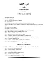 LUAT-DOANH-NGHIEP-2020