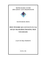 phân tích hiệu quả sản xuất lúa tại huyện thanh bình tỉnh đồng tháp năm 2010 2011 