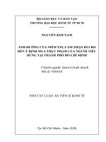 Ảnh hưởng của niềm tin, cảm nhận rủi ro đến ý định mua thực phẩm của người tiêu dùng tại thành phồ hồ chí minh 