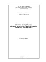 tác động của tự đánh giá đến hoạt động giảng dạy của giảng viên trường đại học đồng tháp 
