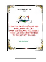 TẬP GIÁO ÁN MẪU MÔN TIN HỌC  LỚP 3, LỚP 4 VÀ LỚP 5 SOẠN THEO HƯỚNG PHÁT TRIỂN NĂNG LỰC HỌC SINH TIỂU HỌC TUẦN 19 ĐẾN TUẦN 21