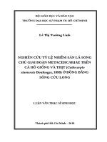 Nghiên cứu tỷ lệ nhiễm sán lá song chủ giai đoạn metacercariae trên cá hô giống và thịt ở đồng bằng sông cửu long​ 