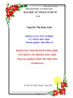 Khảo sát thành phần hóa học cây đinh lăng trổ polyscias guilfoylei bail  họ nhân sâm (araliaceae) 