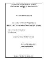 đặc trưng văn hóa dân tộc trong phương thức cường điệu của phương ngữ nam 