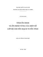 Tính ổn định và ổn định vững của một số lớp hệ chuyển mạch tuyến tính 