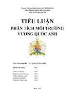 PHÂN TÍCH MÔI TRƯỜNG VƯƠNG QUỐC ANH