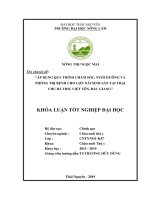 Áp dụng quy trình chăm sóc, nuôi dưỡng và phòng trị bệnh cho lợn nái sinh sản tại trại lợn chu bá thơ, việt yên, bắc giang 