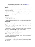 Tải Phân tích nhân vật Tấm trong truyện Tấm Cám - Dàn ý + 8 Bài văn mẫu Phân tích Tấm hay nhất