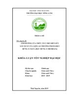 Ảnh hưởng của thức ăn ủ men đến sức sản xuất của lợn lai thương phẩm {đực rừng x nái f1 ( đực rừng x nái meishan)} 