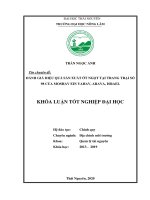 Đánh giá hiệu quả sản xuất ớt ngọt tại trang trại số 98 của moshav ein yahav, arava, israel 
