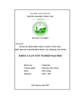 Đánh giá diễn biến chất lượng nước mặt trên địa bàn thành phố móng cái, tỉnh quảng ninh 