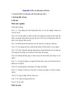 Tải Soạn bài Kiểm tra tổng hợp cuối năm ngắn gọn - Soạn bài lớp 12