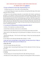 Tải Đề cương ôn tập Lịch sử lớp 11 học kì 2 - Ôn tập Lịch sử 11 học kì 2