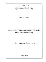 pháp luật về doanh nghiệp tư nhân ở việt nam hiện nay 