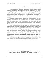 tiểu luận trình tự các bước tiến hành một cuộc thanh tra  một số kinh nghiệm thanh – kiểm tra hoạt động cung cấp và sử dụng dịch vụ internet tại bộ bưu chính viễn thông việt nam 