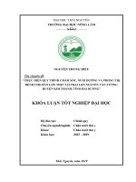 Thực hiện quy trình chăm sóc, nuôi dưỡng và phòng trị bệnh cho đàn lợn thịt tại trại lợn nguyễn văn tưởng, huyện kim thành, tỉnh hải dương 