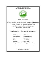 Nghiên cứu ảnh hưởng của phân bón đến sinh trưởng của cây ba kích tím (morinda officinalis how) tại mô hình khoa lâm nghiệp đại lại học nông lâm thái nguyên 