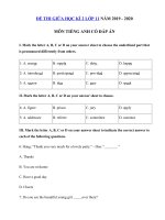 Tải Đề thi giữa kì 2 lớp 11 môn tiếng Anh năm 2019 - 2020 - Đề kiểm tra tiếng Anh lớp 11 mới có đáp án