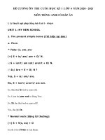 Đề cương ôn tập Tiếng Anh lớp 6 thí điểm - Giáo viên Việt Nam