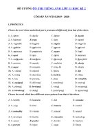 Tải Đề cương ôn tập học kì 2 môn Tiếng Anh lớp 11 năm 2019 - 2020 - Bài tập ôn tập tiếng Anh 11 học kì 2 có đáp án