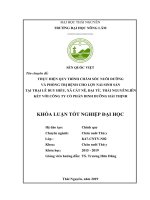 Thực hiện quy trình chăm sóc nuôi dưỡng và phòng trị bệnh cho lợn nái sinh sảntại trại lê duy hiếu, xã cát nê, đại từ, thái nguyên liên kết với công ty cổ phần dinh dưỡng hải thịnh 