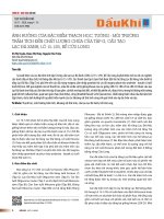 Ảnh hưởng của đặc điểm thạch học, tướng - môi trường trầm tích đến chất lượng chứa của tập G, cấu tạo lạc đà xanh, LÔ 15-1/05, bể Cửu Long