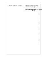 Nghiên cứu biến tính than hoạt tính làm vật liệu xử lý một số chất độc tồn tại dưới dạng ion trong nước 