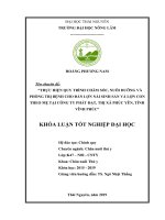 Thực hiện quy trình chăm sóc, nuôi dưỡng và phòng trị bệnh cho đàn lợn nái sinh sản và lợn con theo mẹ tại công ty phát đạt, thị xã phúc yên, tỉnh vĩnh phúc 