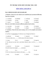 Tải Đề thi học sinh giỏi môn Tiếng Anh lớp 10 năm học 2018 - 2019 số 9 - Bồi dưỡng học sinh giỏi lớp 10 môn Anh văn