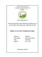 Đánh giá hiện trạng môi trường đất trồng rau xã hóa thượng, huyện đồng hỷ, tỉnh thái nguyên 