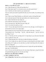 Toàn bộ những biến đổi diễn ra trong chu kì sống của cá thể biểu hiện ở ba quá trình không liên quan.