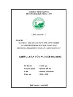 Đánh giá hiệu quả sử dụng đất nông nghiệp của mô hình sản xuất rau tại trang trại shinohara masahito làng kawakami nhật bản 