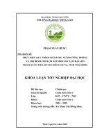 Thực hiện quy trình chăm sóc nuôi dưỡng, phòng và trị bệnh cho lợn nái sinh sản tại trại lợn nhâm xuân tiến, huyện đông hưng, tỉnh thái bình 