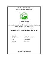 Đánh giá hiện trạng môi trường nước sinh hoạt của công ty trách nhiệm hữu hạn chulwoo vina 