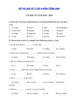 Tải Đề thi học kì 2 môn tiếng Anh lớp 8 năm 2019 - 2020 số 5 - Đề thi tiếng Anh lớp 8 học kì 2 có đáp án