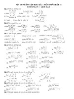 ĐỀ CƯƠNG ÔN TẬP HỌC KÌ 2 - MÔN TOÁN LỚP 11