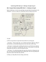 Tải Giải bài tập SBT Sinh học 11: Bài tập có lời giải trang 23 - Giải bài tập SBT Sinh học lớp 11