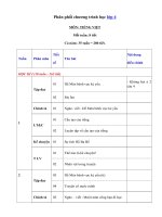 Tải Phân phối chương trình môn Tiếng Việt lớp 4 - Nội dung chương trình học môn Tiếng Việt lớp 4