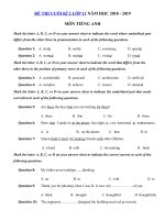 Tải Đề thi học kì 2 lớp 11 môn Tiếng Anh năm học 2018 - 2019 số 5 - Đề thi học kì 2 môn Tiếng Anh lớp 11 có đáp án