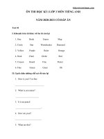 Bộ đề thi học kì 1 lớp 3 môn Tiếng Anh chi tiết năm học 2020-2021 - Giáo viên Việt Nam